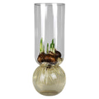 Extra Tall Bulb Vase – Clear