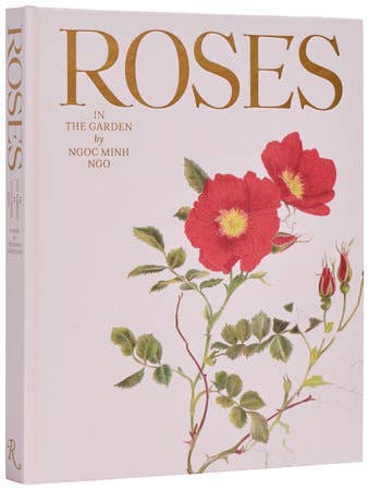 Roses In The Garden by Ngoc Minh Ngo