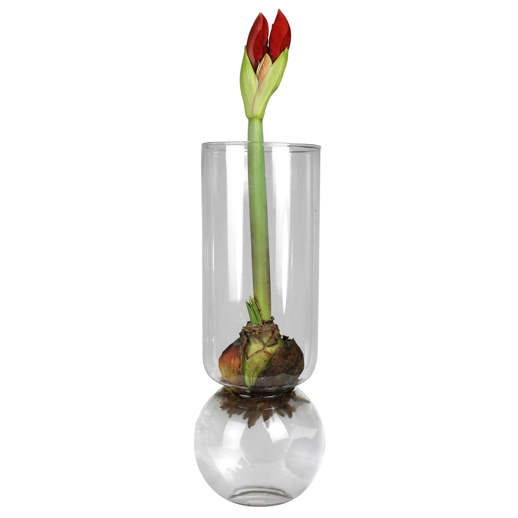 Extra Tall Bulb Vase – Clear