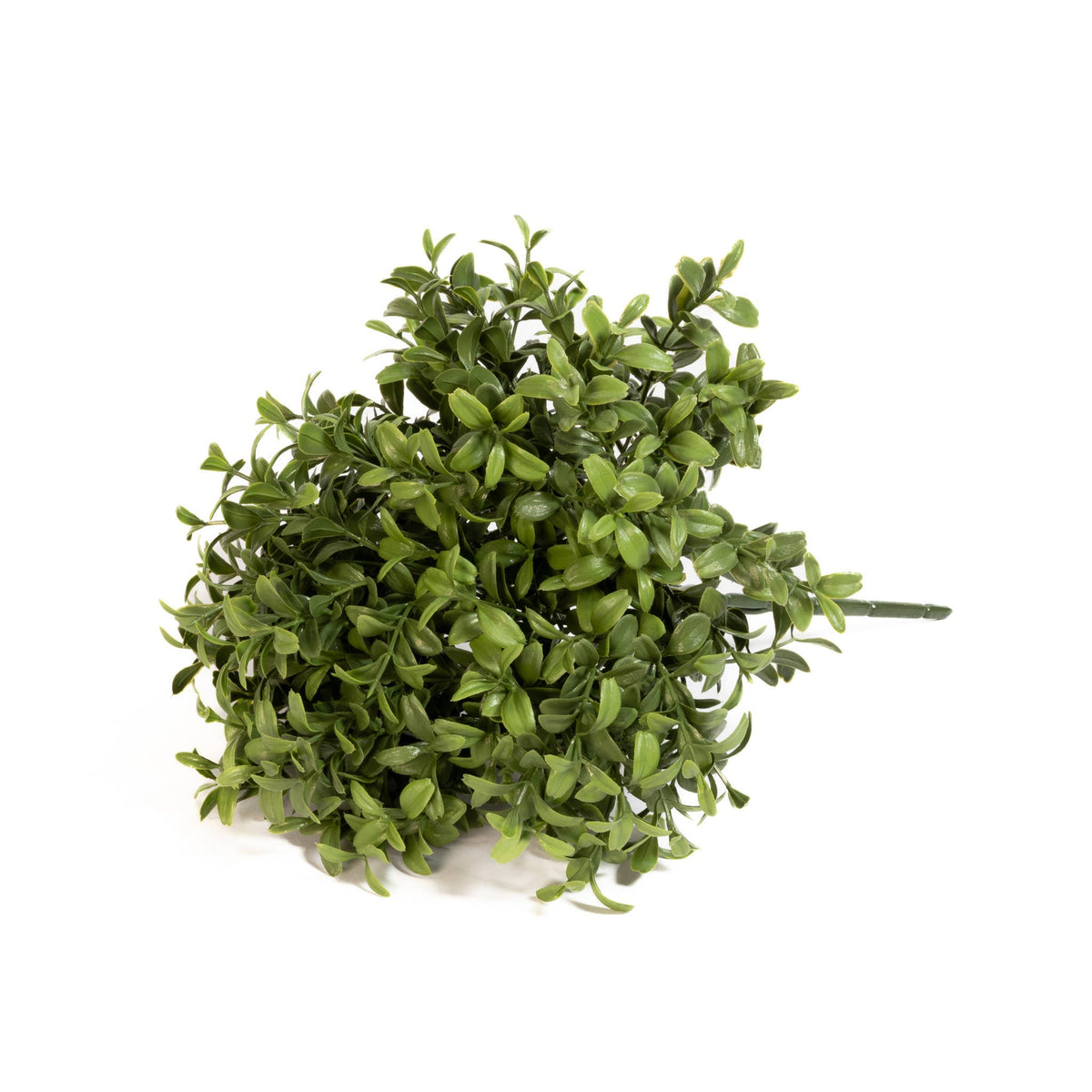 Faux Boxwood Stem