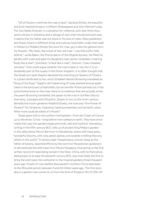 Roses In The Garden by Ngoc Minh Ngo