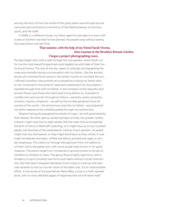 Roses In The Garden by Ngoc Minh Ngo