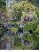 Roses In The Garden by Ngoc Minh Ngo