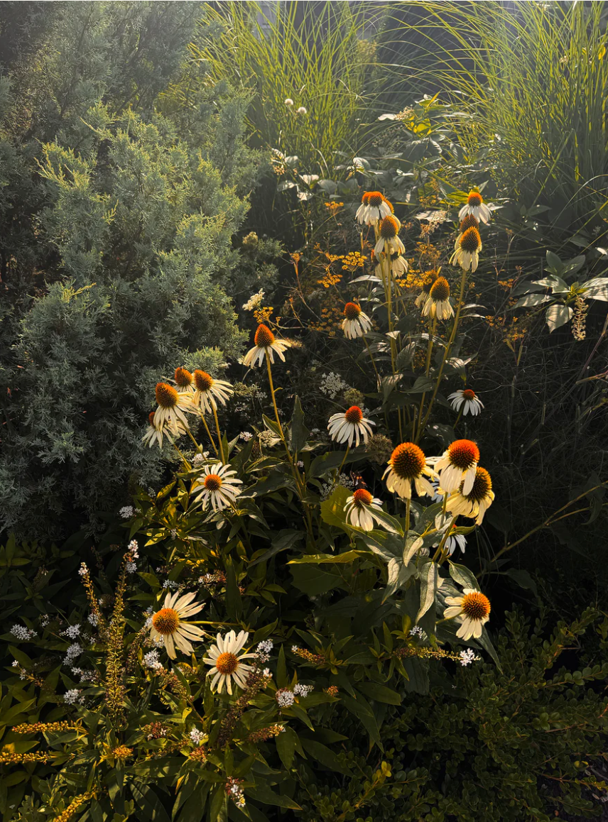 Garden Stories Candle