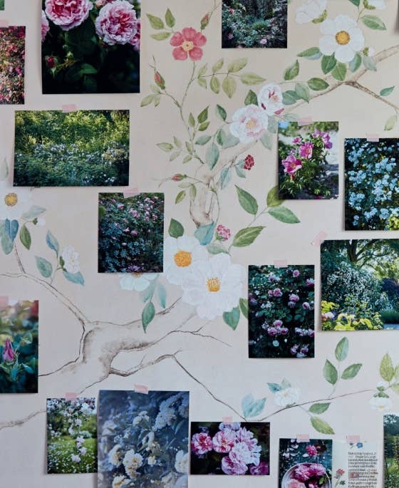 Roses In The Garden by Ngoc Minh Ngo