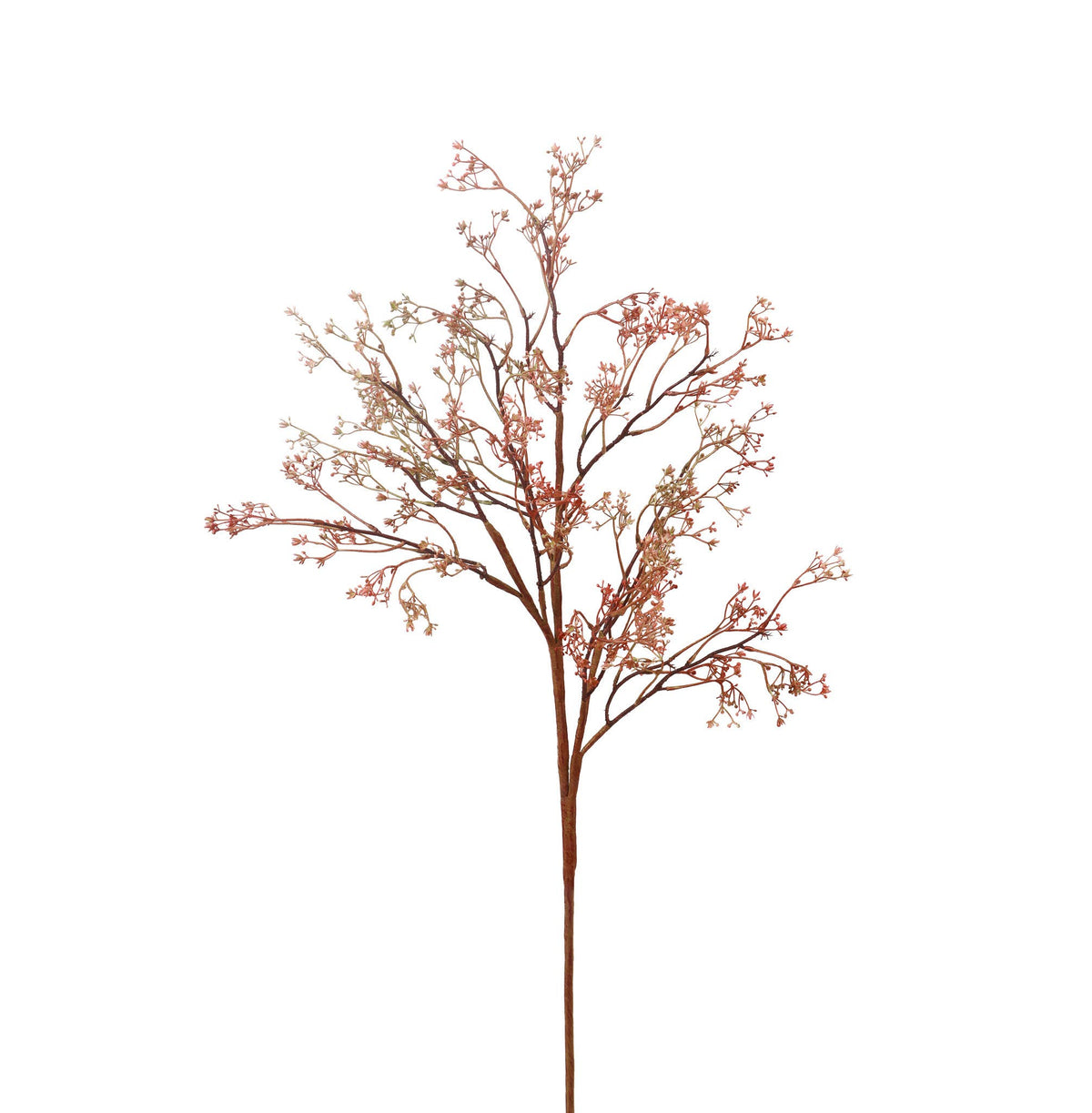 Faux Rosa Caspia Stem