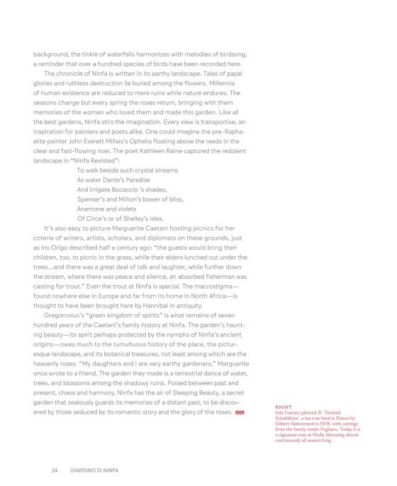 Roses In The Garden by Ngoc Minh Ngo