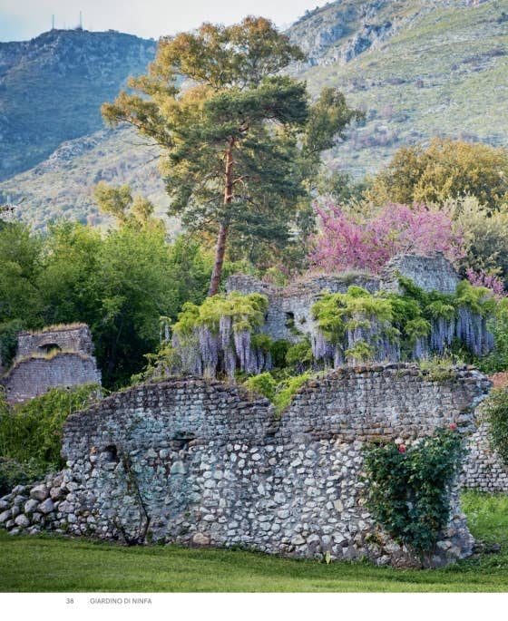 Roses In The Garden by Ngoc Minh Ngo