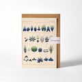 Shapes of Leaves Greetings Card