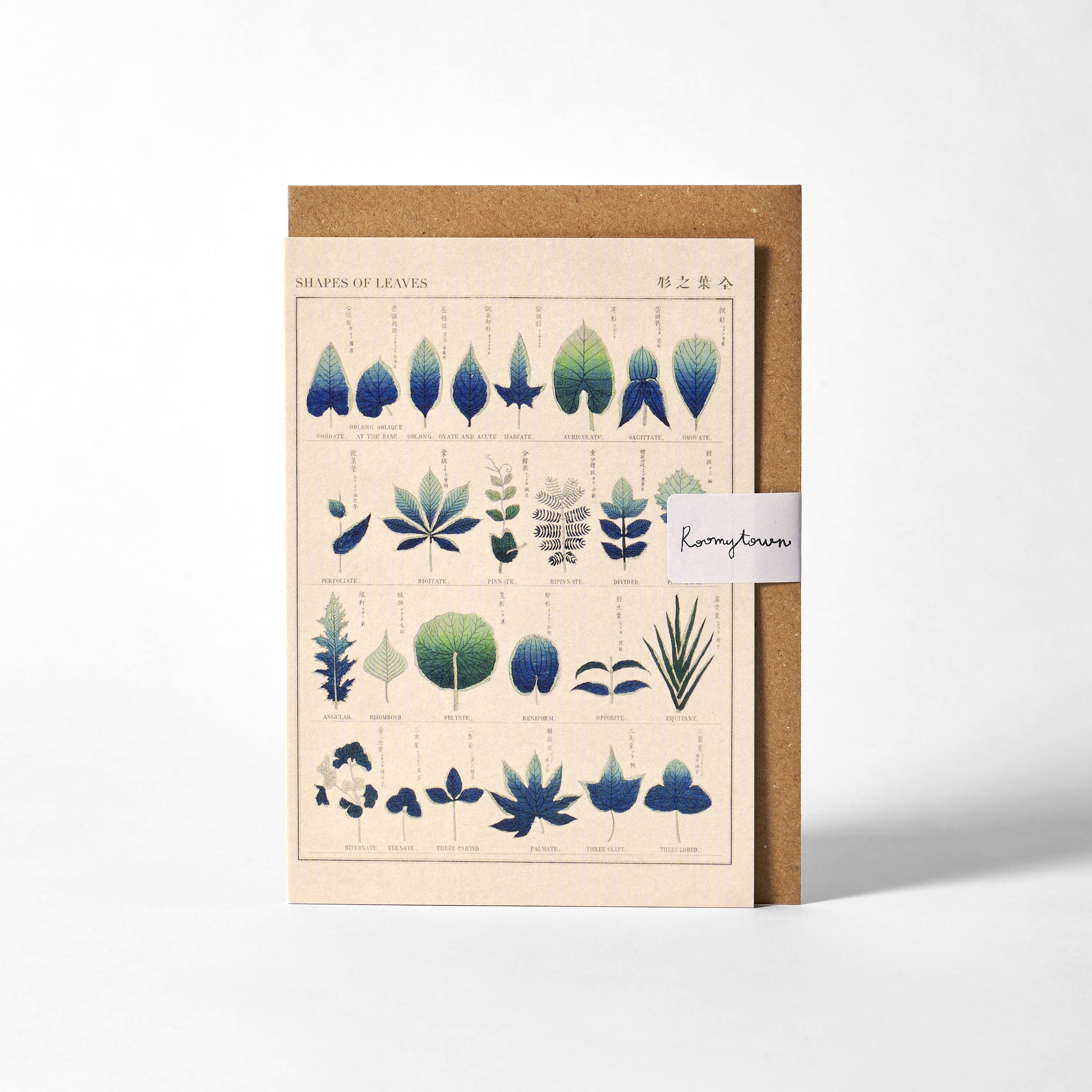Shapes of Leaves Greetings Card