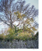 Roses In The Garden by Ngoc Minh Ngo